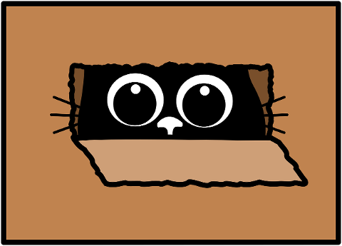 cat-kitten-black-cat-feline-cute-8781982