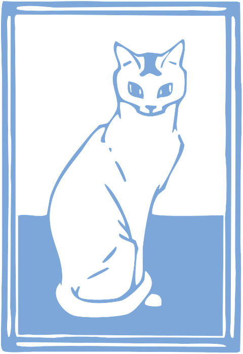cat-pet-feline-kitten-animal-6611753