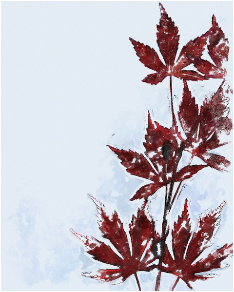maple-leaves-photo-art-branch-6088003