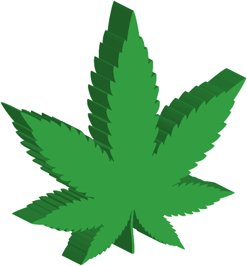 marijuana-leaf-drugs-3d-isometric-6063994