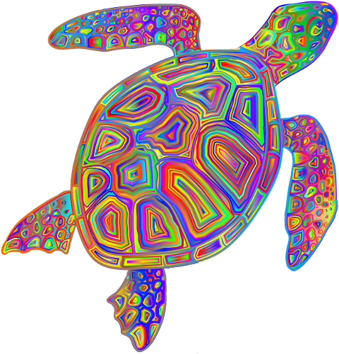 turtle-animal-amphibian-psychedelic-6370279