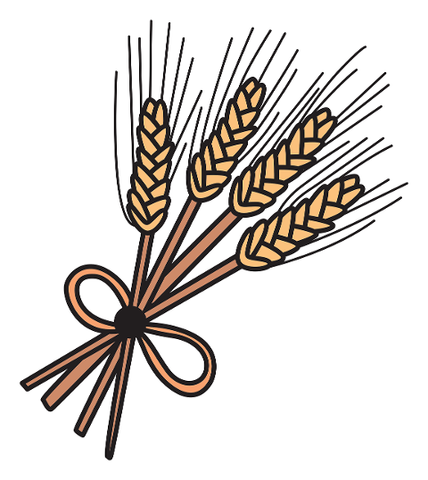 wheat-bundle-harvest-autumn-rustic-9440795