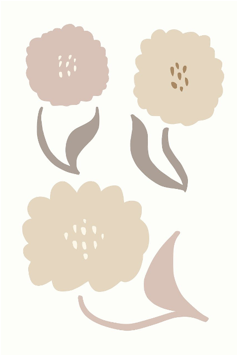 flower-pattern-floral-graphic-leaf-9551201