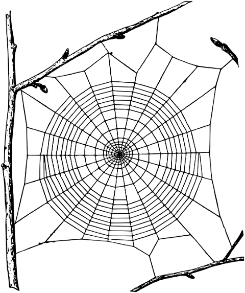 spider-web-spooky-halloween-cobweb-7297678