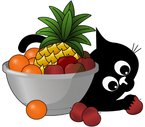 cat-fruits-kitten-black-cat-pet-9371319
