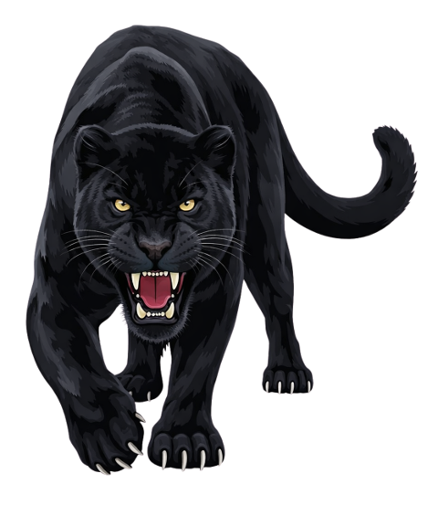 black-panther-panther-10088990