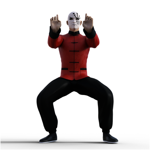 kung-fu-martial-arts-pose-fighter-4938561