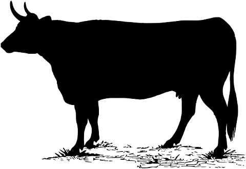 cow-silhouette-animals-farm-black-4395171