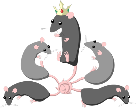 rat-king-five-tangle-tangled-5176632