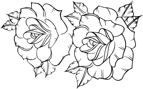 rose-drawing-roses-design-flowers-5481546