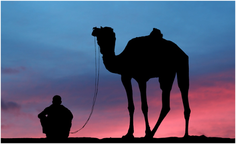 sunset-camel-desert-travel-nature-4810754