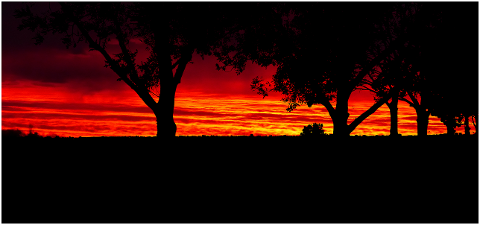sunset-trees-nature-landscape-sky-4326755