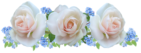 flowers-roses-forget-me-nots-4517215