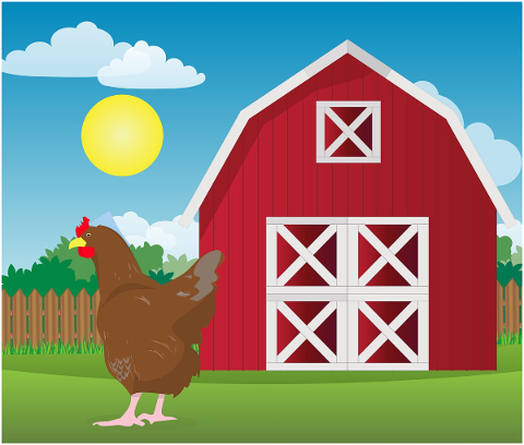 chicken-farm-hen-range-animal-5024775