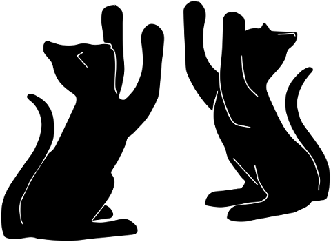 cats-playing-cat-silhouette-play-5351454