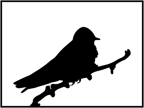 bird-perch-swallow-outline-7712983
