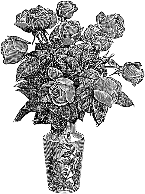 rose-flower-vase-line-art-plant-7297616