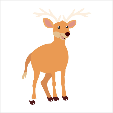 animal-deer-nature-wildlife-wild-5119677