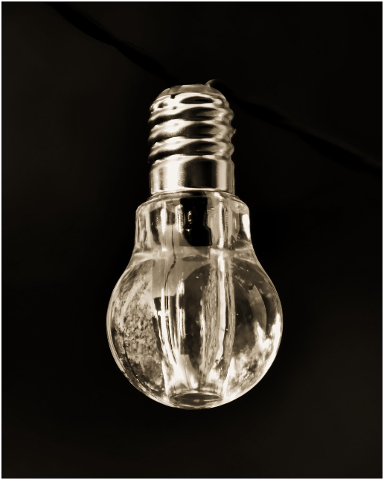 light-bulb-energy-nature-4354553