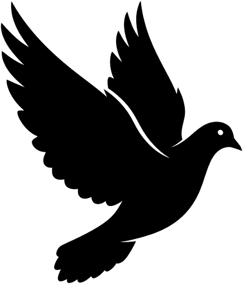 dove-bird-flying-flight-silhouette-10052578