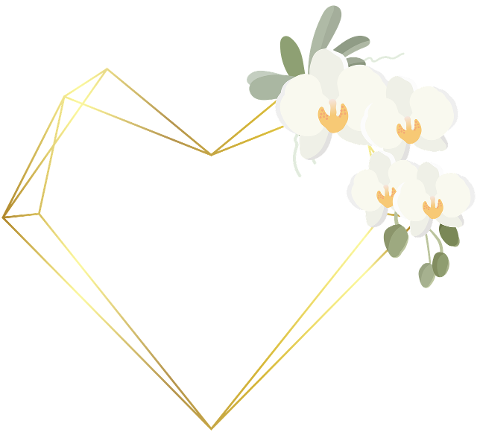 flowers-orchid-frame-heart-6649284