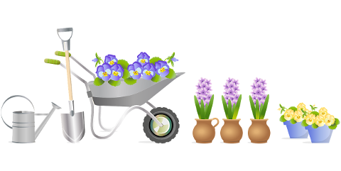garden-tool-wheelbarrow-watering-can-6142778