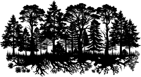 ai-generated-forest-trees-9588157