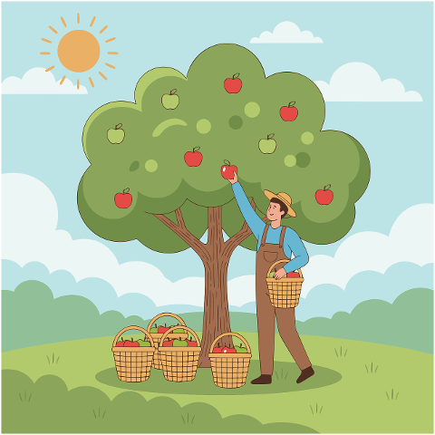 apple-harvest-apple-apple-tree-9819403