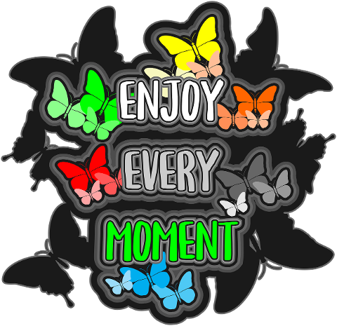 enjoy-every-moment-quotes-message-7303831