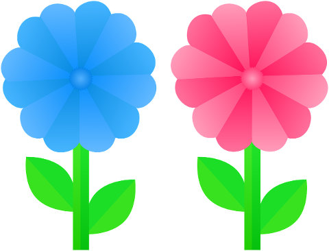 flowers-pink-flower-blue-flower-7294860