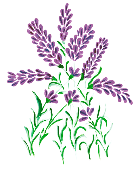 lavender-watercolor-flower-cutout-6820875