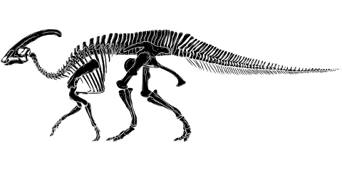 dinosaur-dinosaur-skeleton-fossil-6752737