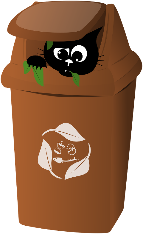 cat-kitten-black-cat-pet-animal-9534470