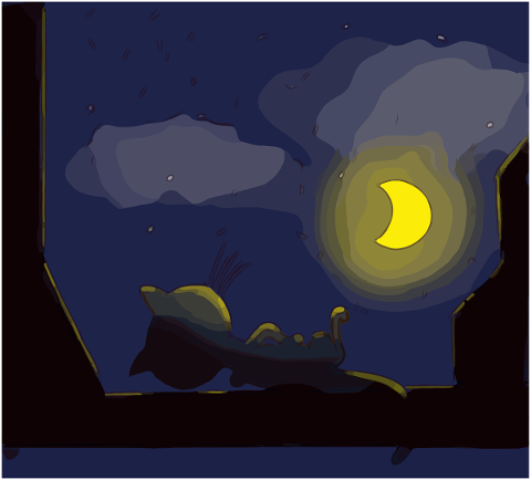cat-night-moon-crescent-mysterious-5147019