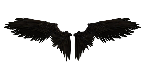 angel-fairy-wings-costume-isolated-4863667