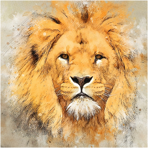 lion-head-photo-art-hunter-6173428