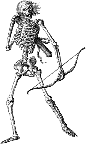 skeleton-bones-line-art-death-5594158