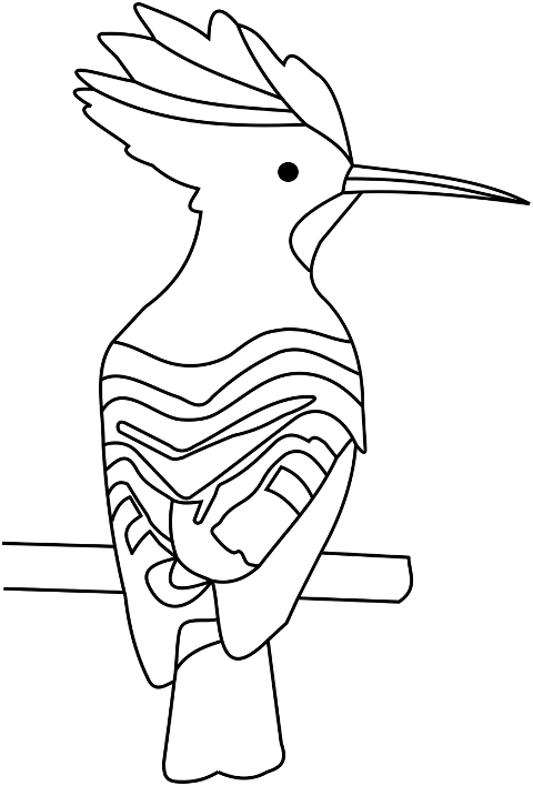bird-hoopoe-drawing-line-art-art-6982447