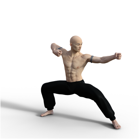 kung-fu-pose-fighter-wushu-action-4938636