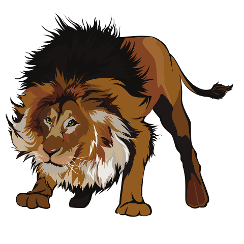 lion-animal-wildlife-mammal-6046677