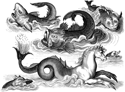 marine-fish-line-art-mythology-5206940
