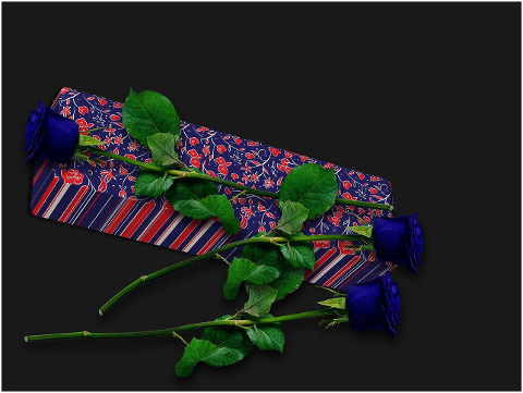 flowers-box-gift-thanks-roses-6179898