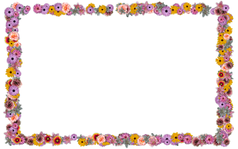 flowers-frame-decoration-border-4810406