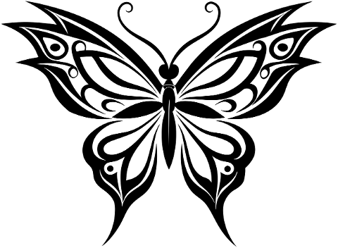ai-generated-butterfly-insect-8716055