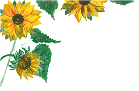 sunflowers-yellow-flowers-watercolor-7677723