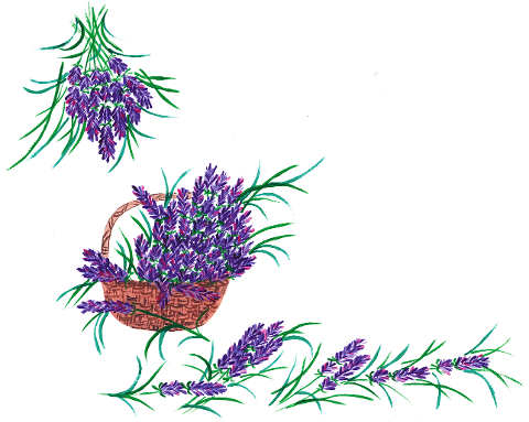 lavender-lavender-basket-watercolor-7677117