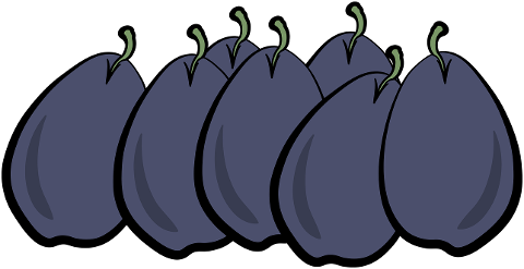 plums-fruit-food-7847012