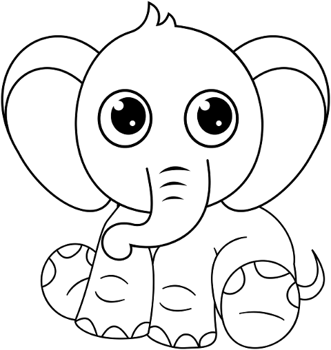 elephant-pachyderm-baby-animal-6387519