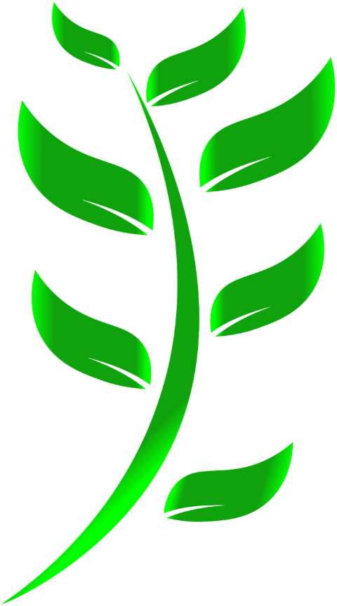 leaf-green-eco-friendly-nature-7259719