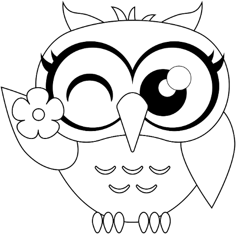 owl-animal-bird-line-art-6387855